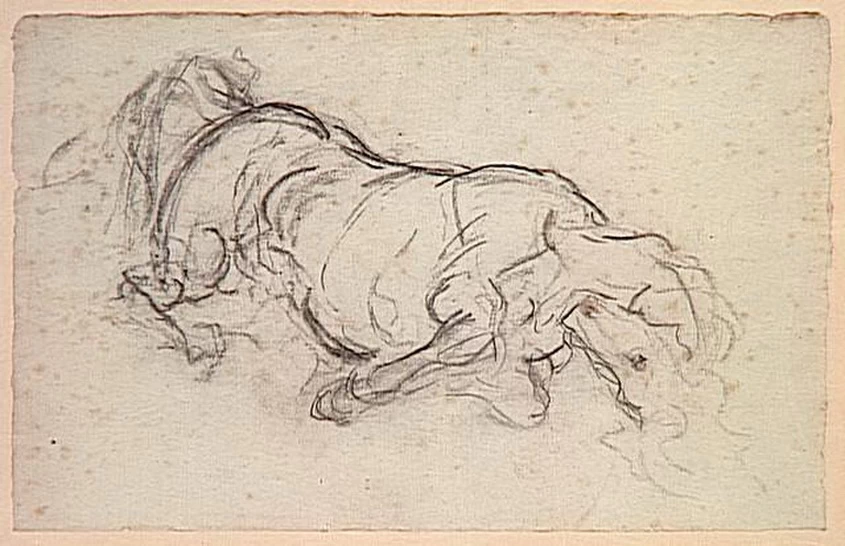 Cavallo azzannato da una tigre